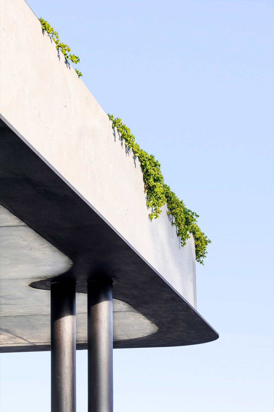 Mosman 住宅改造丨澳大利亚丨Tribe Studio Architects-27