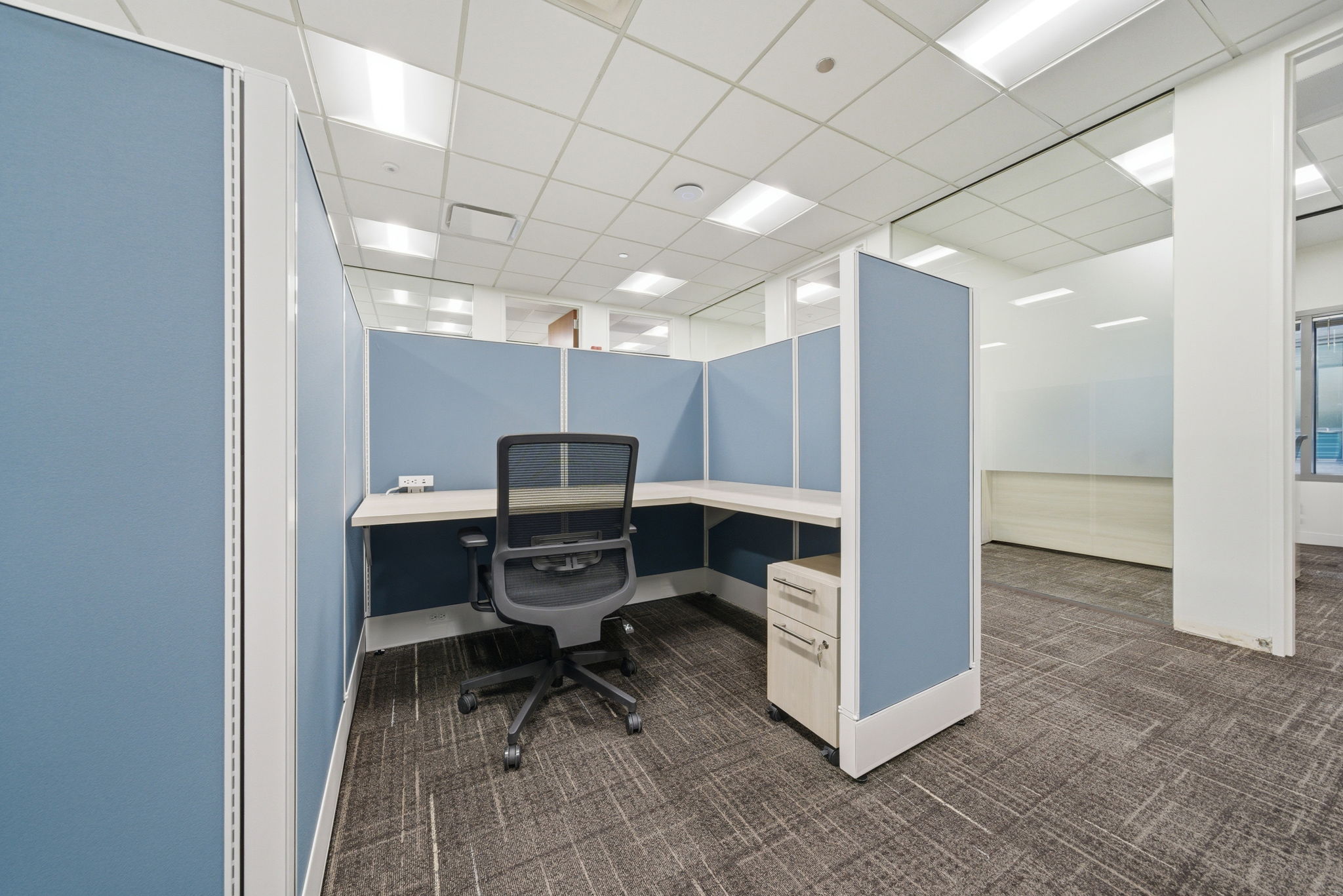 Law Firm, Chicago, IL-8