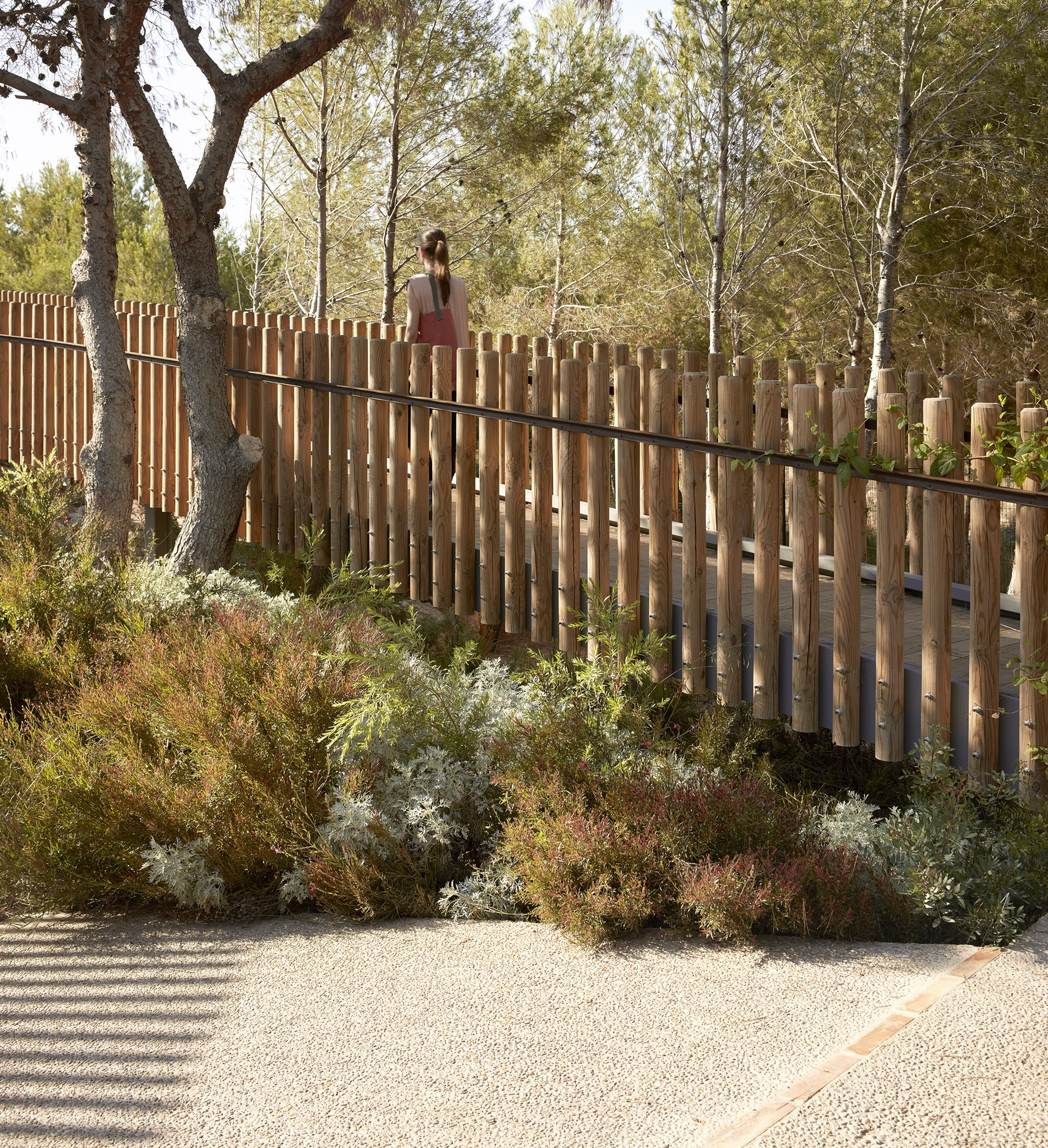 想象蒙台梭利学校丨西班牙巴伦西亚丨Gradolí & Sanz 建筑事务所-66