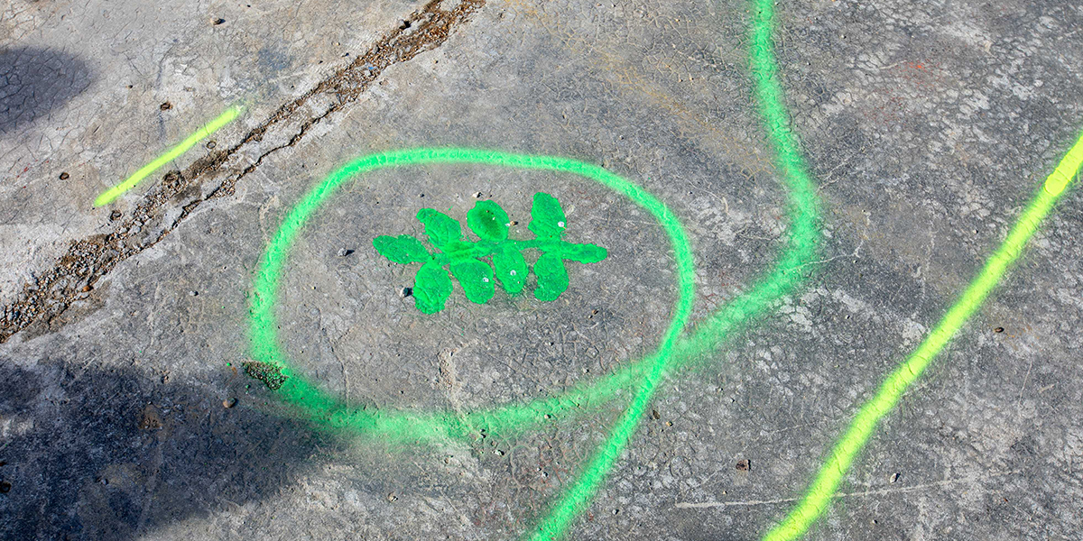 Dessine-moi le parking de demain - CoCo architectureCoCo architecture-18