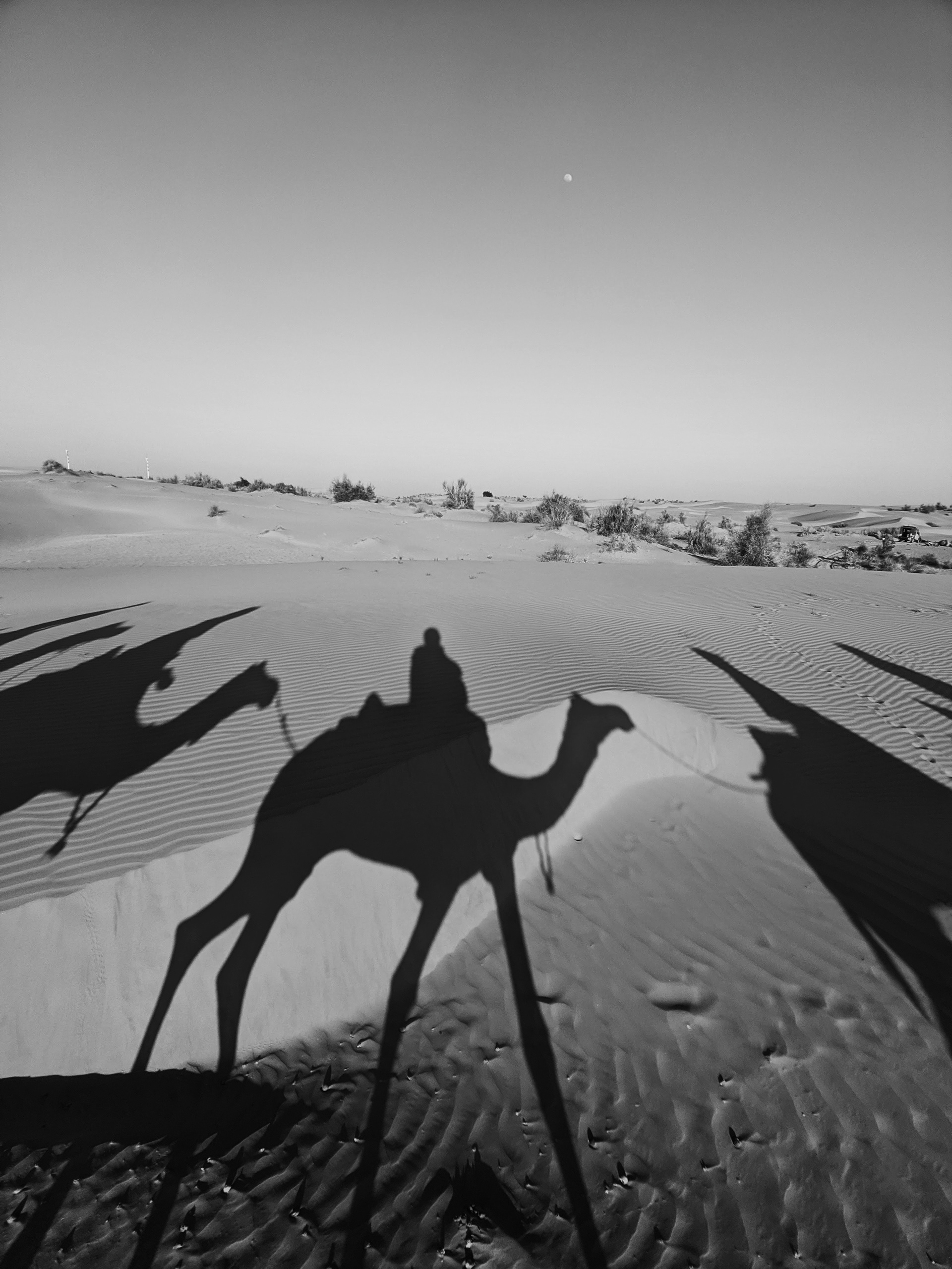 Monochrome Madness-3