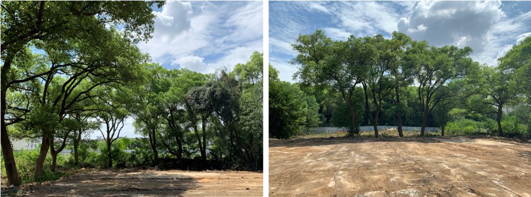 南昌融创雪个庭示范区 | 香樟林中的诗意栖息-10