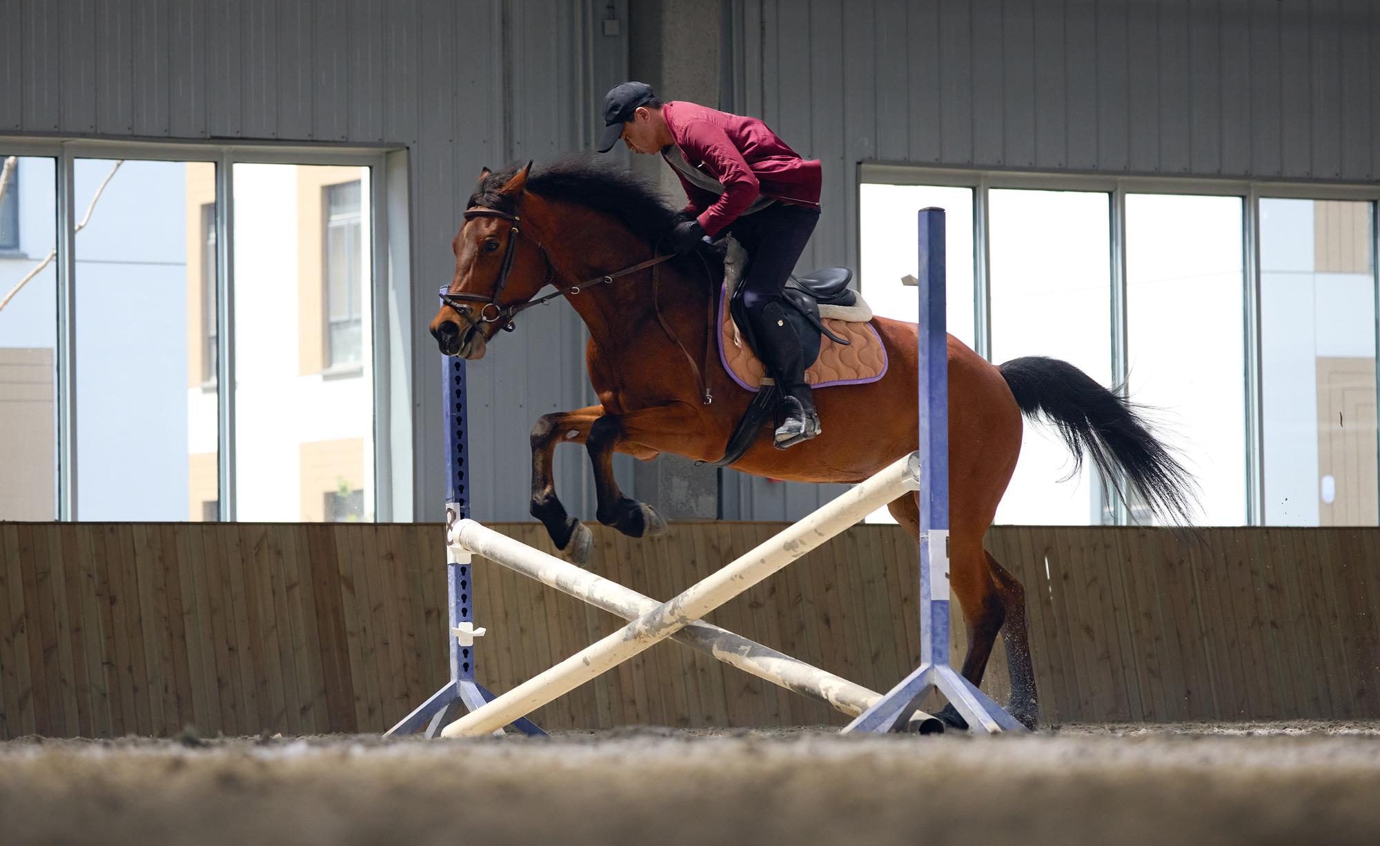 Yue & Yue: Art Museum +  Equestrian Hall / CU Office-37