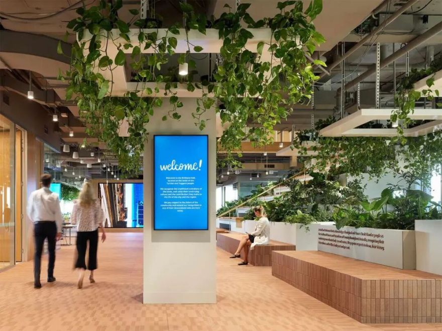 澳洲养老基金ART布里斯班总部丨澳大利亚布里斯班丨Cox Architecture-44