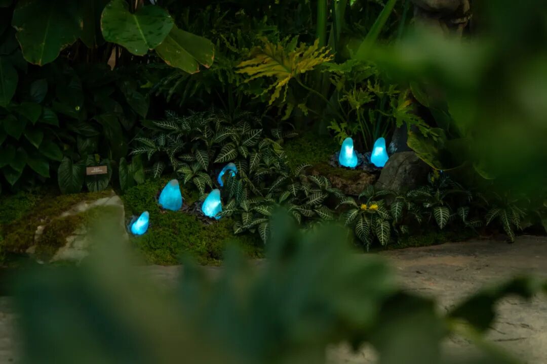 重庆光环花园城·世界树 光环2.0之机械魔法森林丨中国重庆丨WTD纬图设计-18