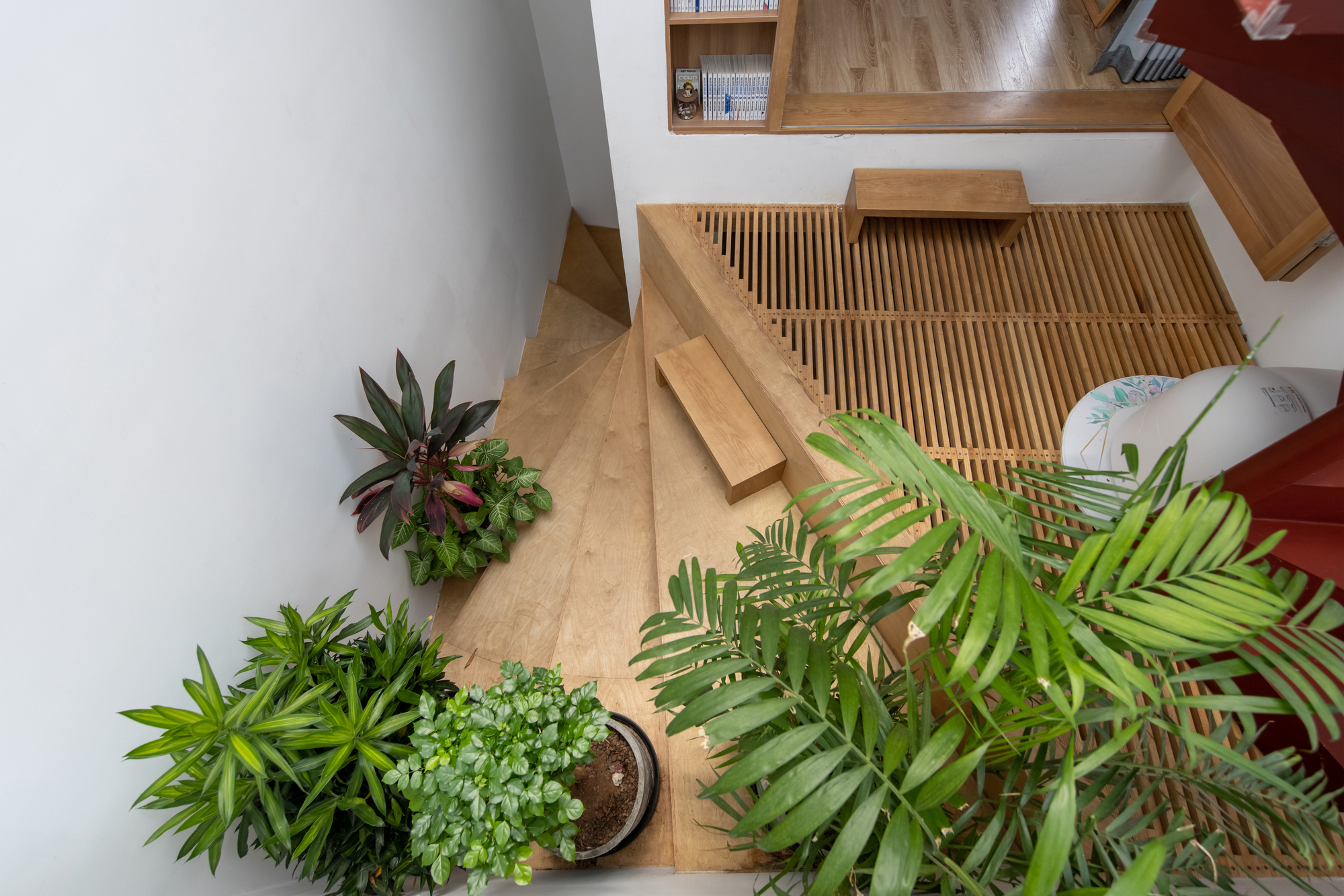 萝莉屋丨越南河内丨t + m design office-11