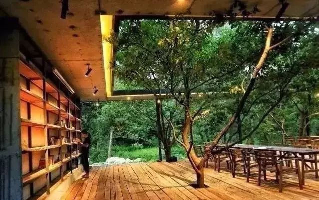 四个老男孩租下2500亩山谷，用集装箱搭出梦想中的家！-34