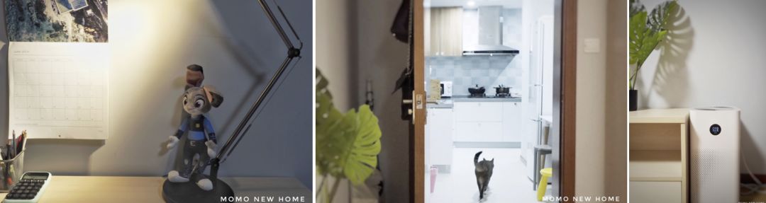 五年成长路，UD 设计工作室砥砺前行-33