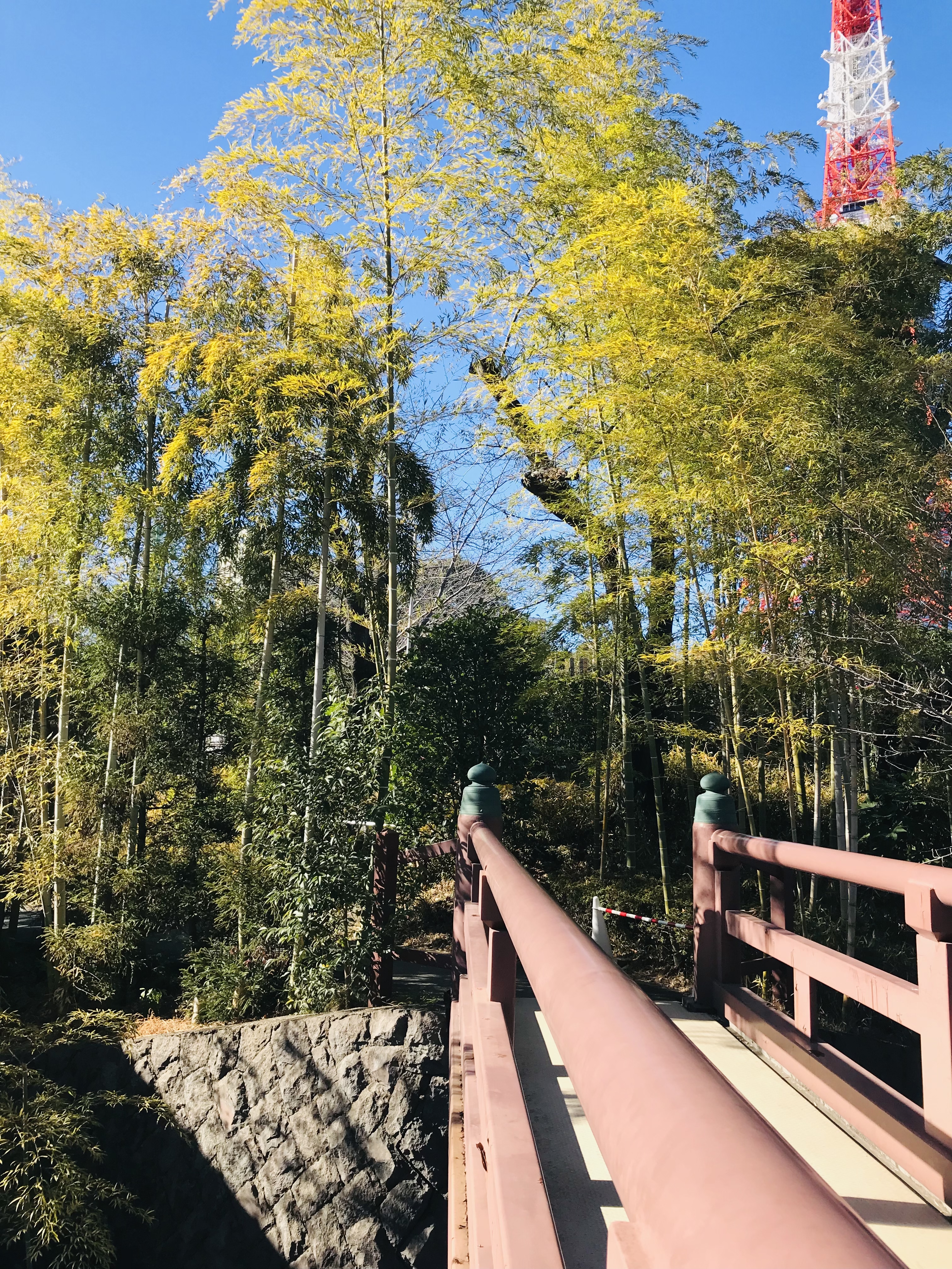 増上寺 （令和６年１月４日）Zojoji at Shiba Park-28