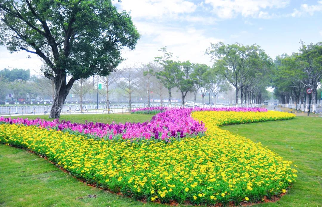 云山雅境,花园会议——广州白云国际会议中心-48