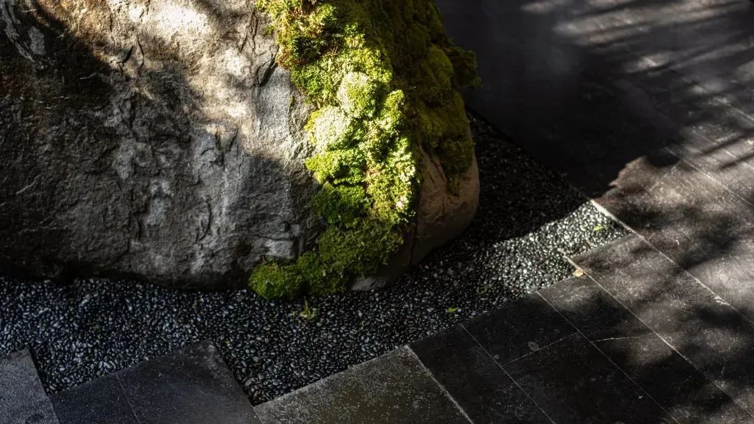 建发苏州檀府·禅意东方丨中国苏州丨矩阵纵横-59