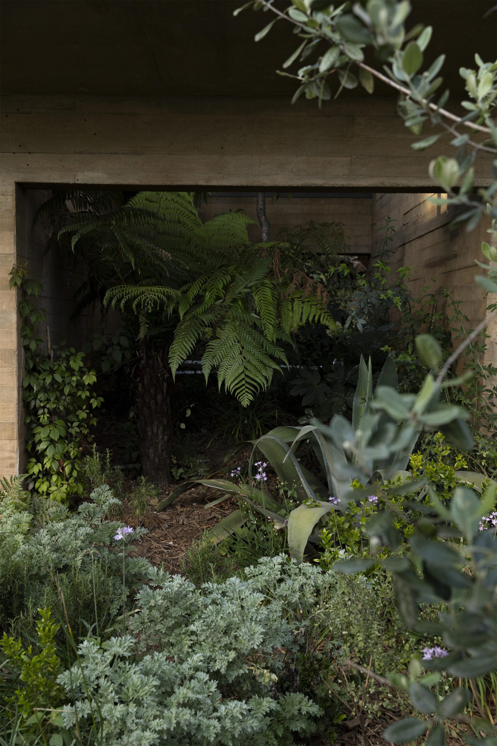 墨西哥森林花园-36