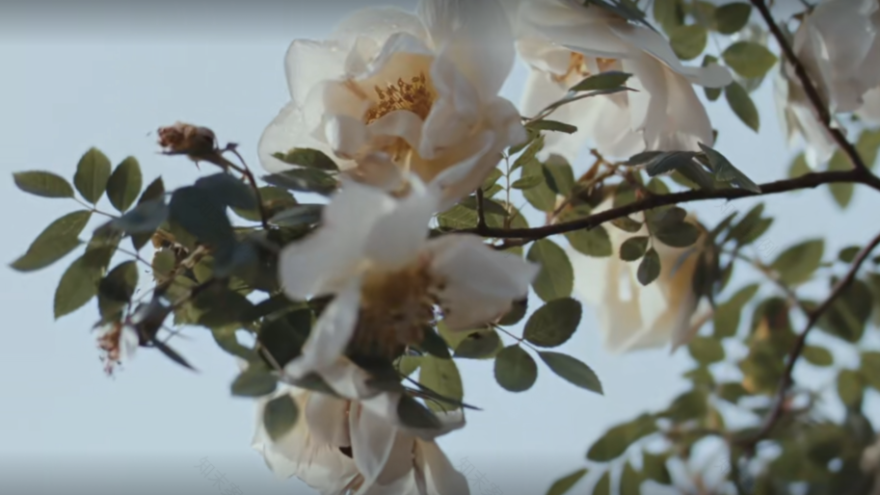 安品园舍 · 600㎡合院别墅设计-105