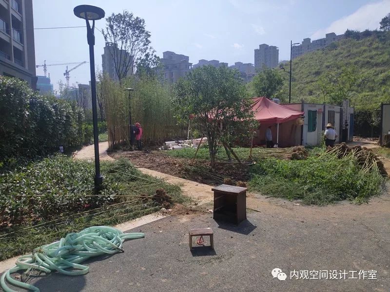 新安悦府 | 绿色家园的铺路记-55