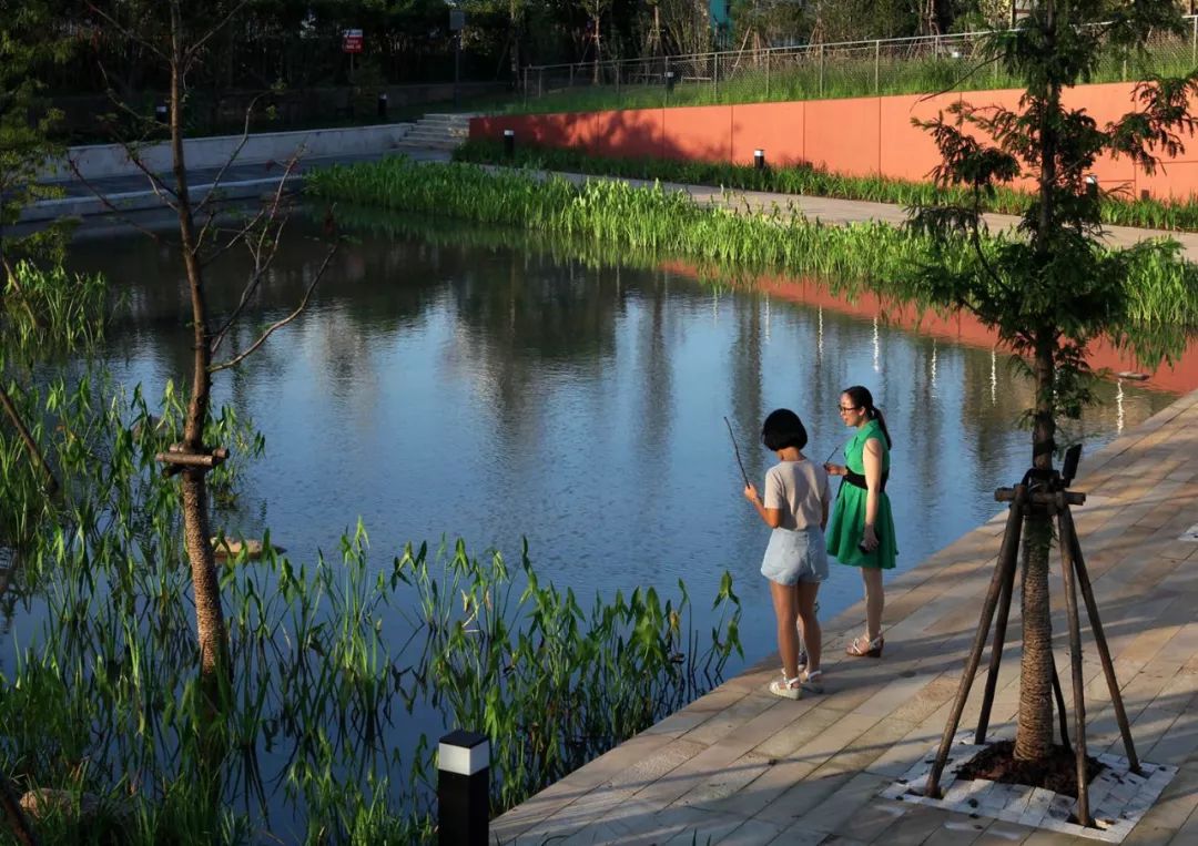 杨浦大桥区域滨江绿地生态项目，打造城市水岸新生活-125