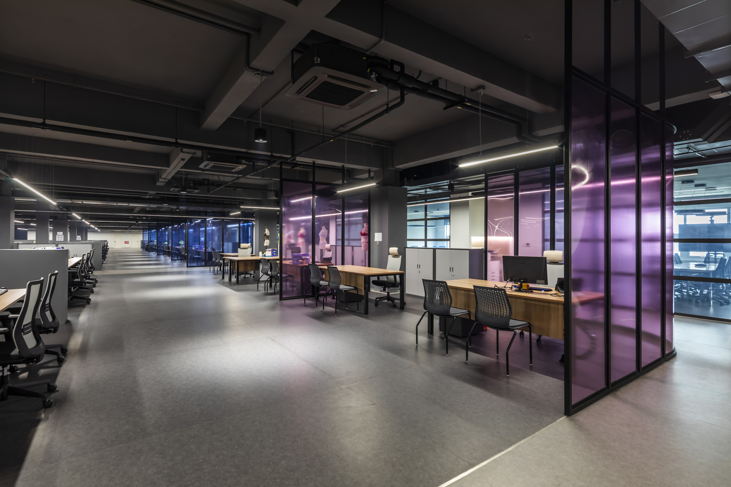 越南 Crystal Martin 办事处丨D&P-29