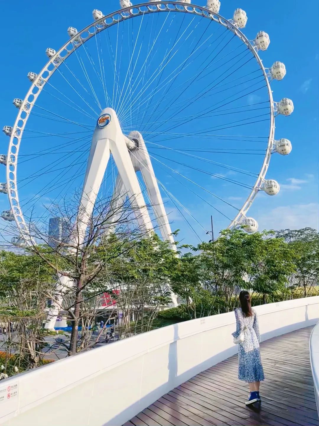 千园之城又添新景，这里的浪漫从白天到黑夜-60