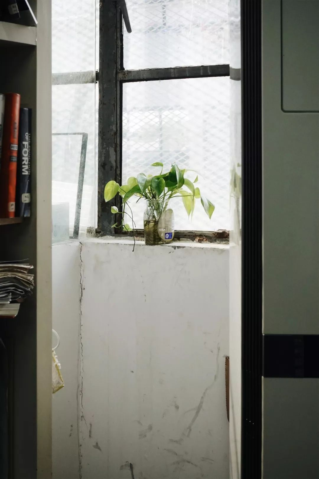 刘晓都的“秘密花园” | 都市实践办公室探秘-27