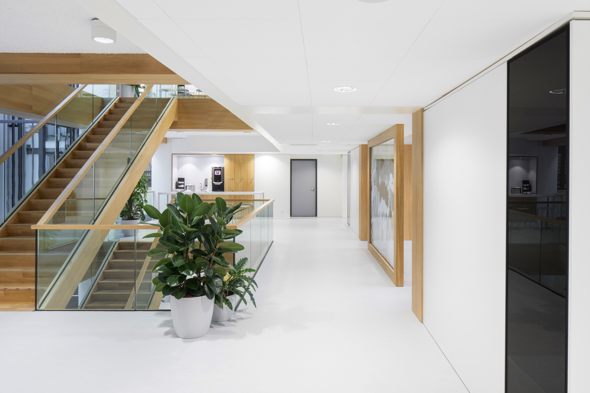 Naturalis Biodiversity Center / Hollandse Nieuwe-15