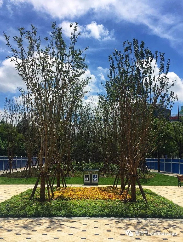 上海浦东世纪大道改造提升工程-83