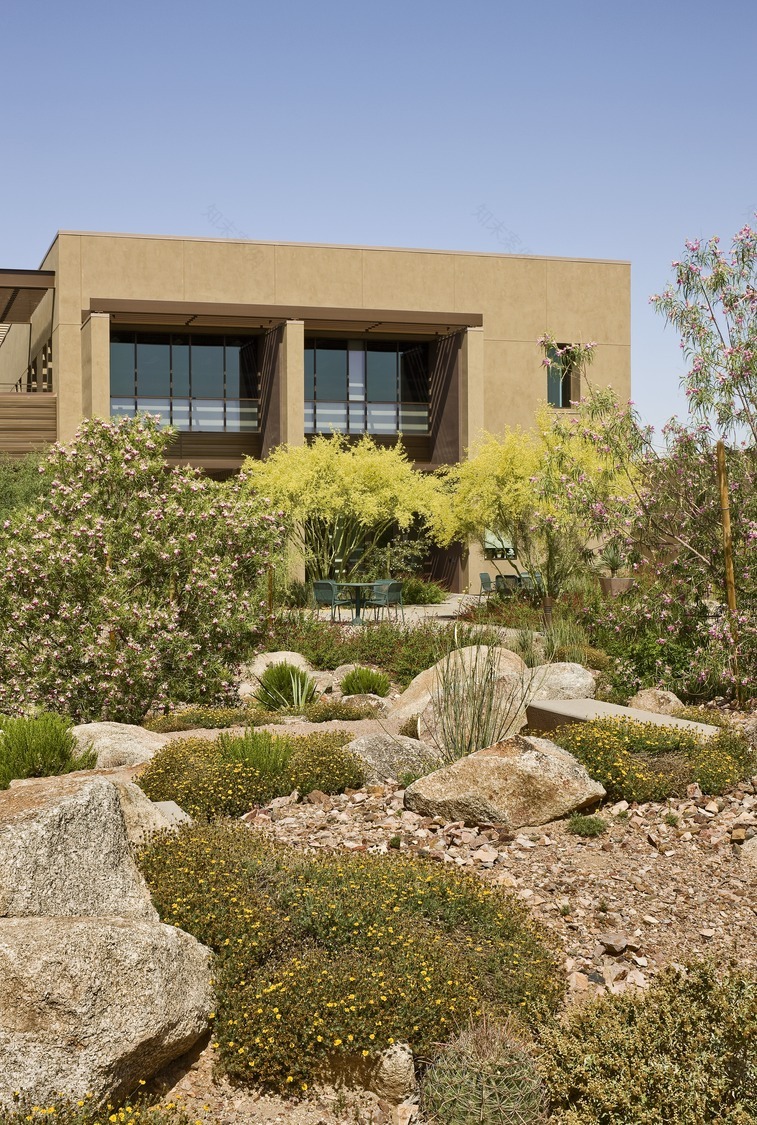 university of arizona cancer center-5