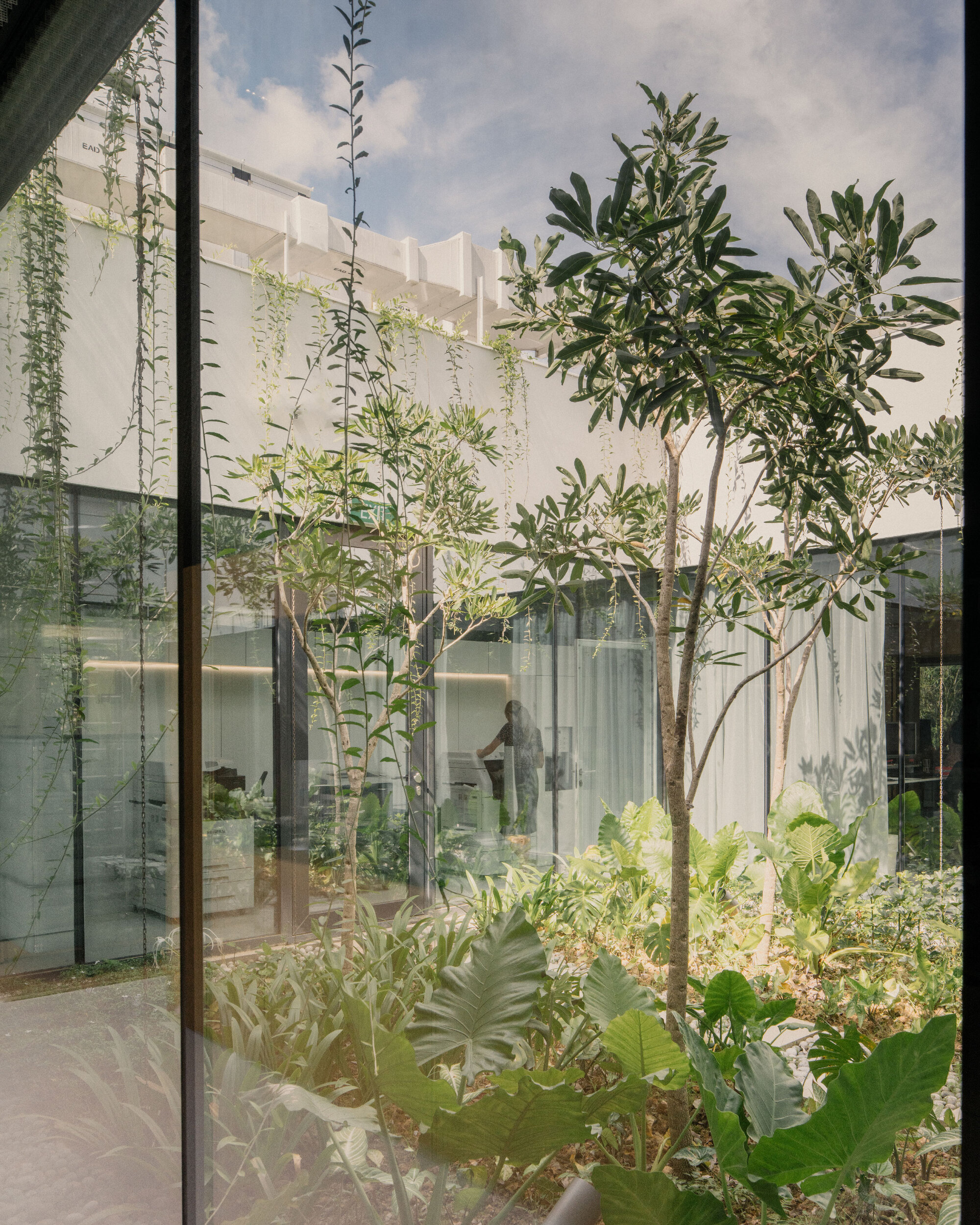 瑞士大使馆丨新加坡丨Berrel Kräutler Architekten-20