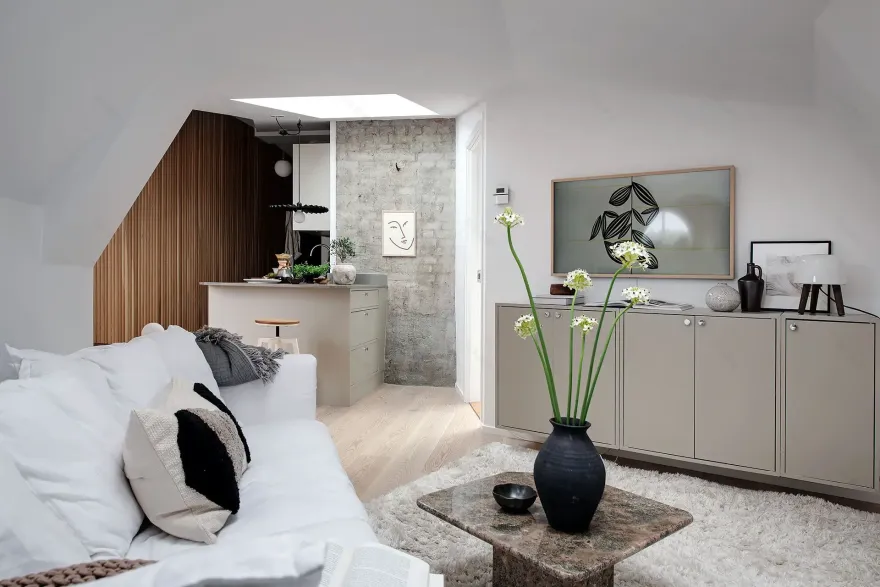 哥德堡 33m2 设计公寓 | 巧妙空间布局与独特魅力-4