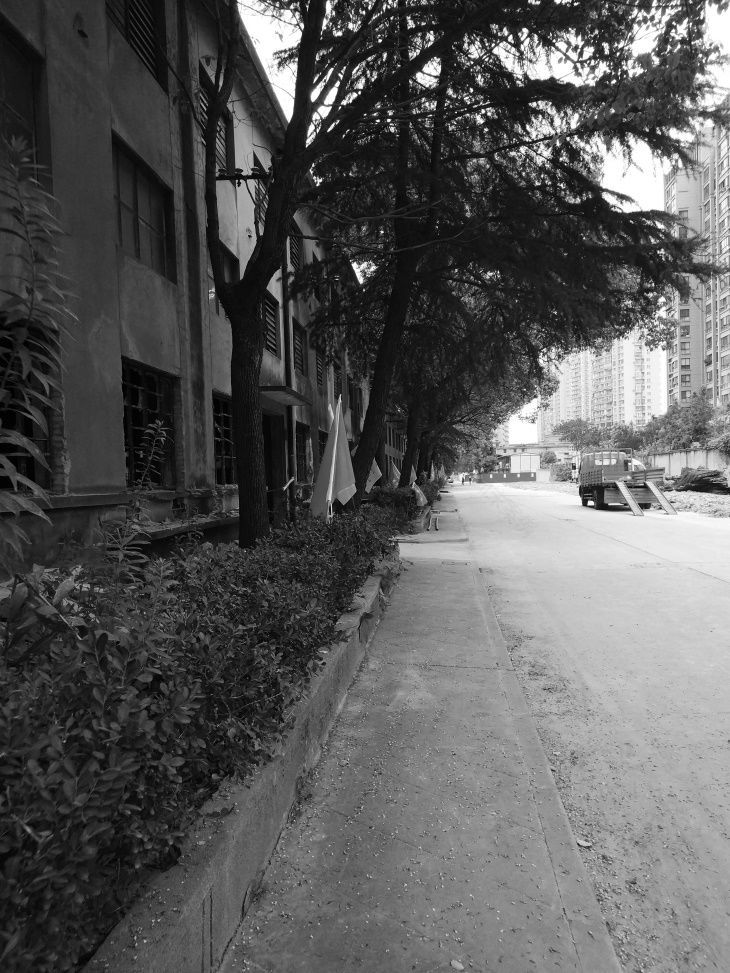 从暖瓶厂到社区公园 | 三邻桥景观改造-10