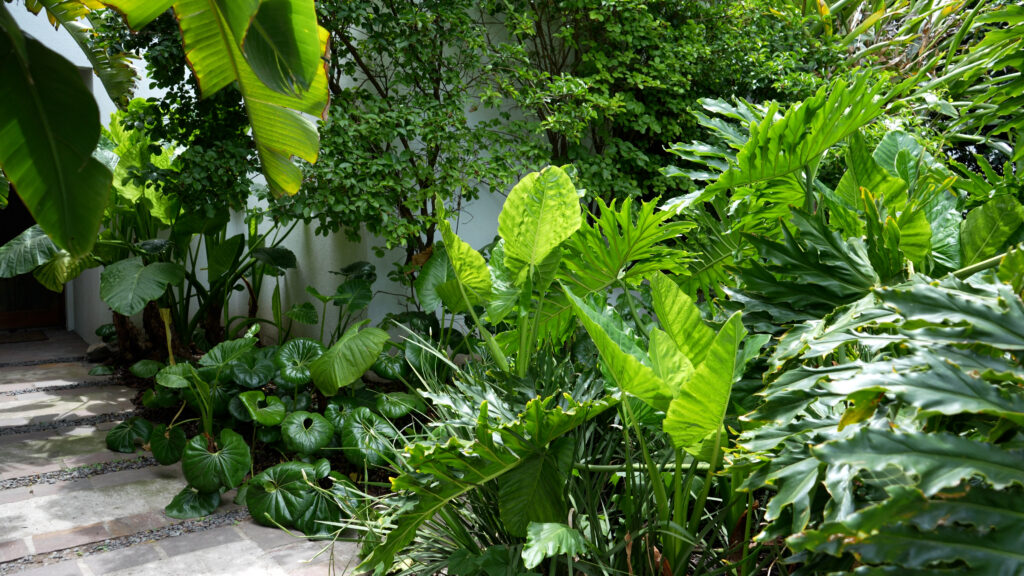 适应家庭需求的花园景观项目丨阿根廷布宜诺斯艾利斯-14