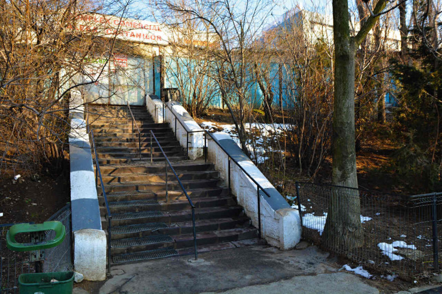 Văcărești Monastery(维卡雷斯蒂修道院)丨罗马尼亚布加勒斯特-76