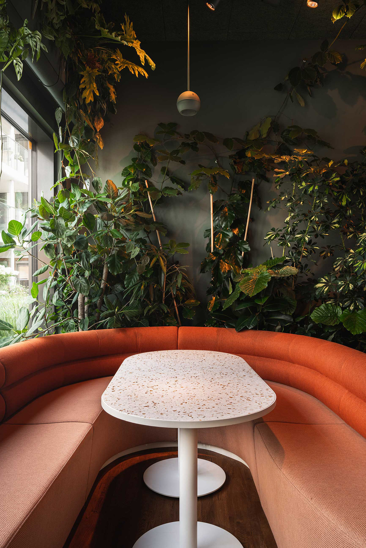 Botaniske 餐厅丨挪威丨Radius Design-9