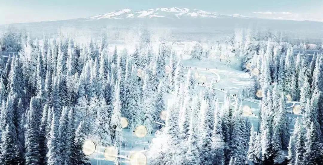 首尔建筑双年展 | 蓝房子和红房子，探索城市住宅新设计-26