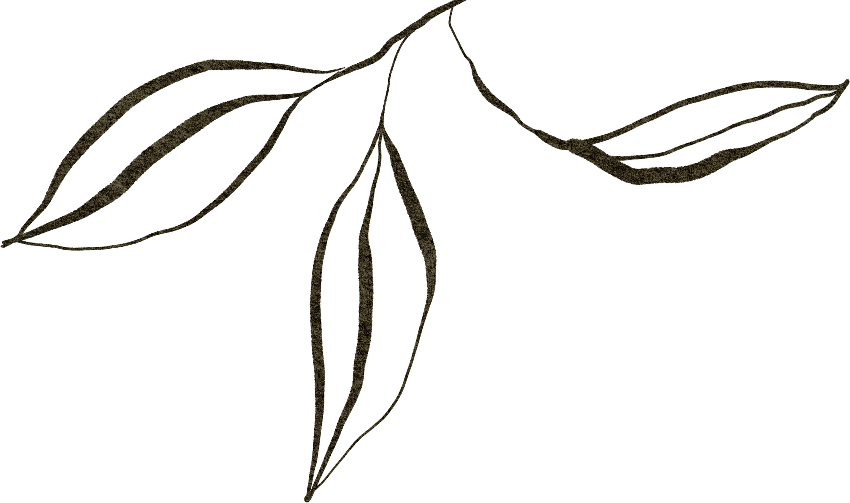 域外瞭望：沙特首家 丽思卡尔顿隐世酒店，藏于红海秘境-1