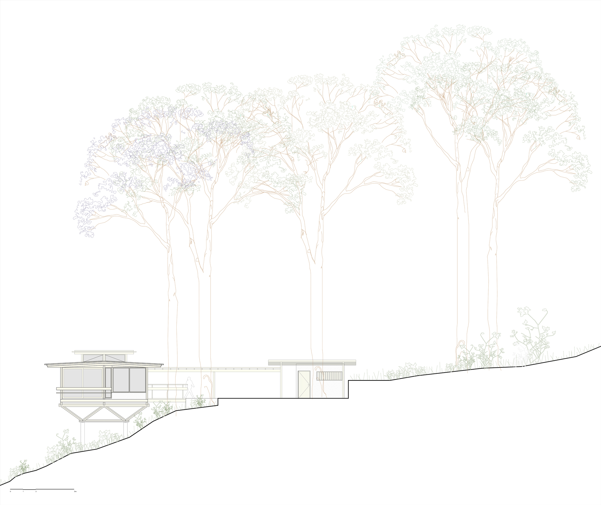 丨巴西帕拉丨Arquipélago Arquitetos-20