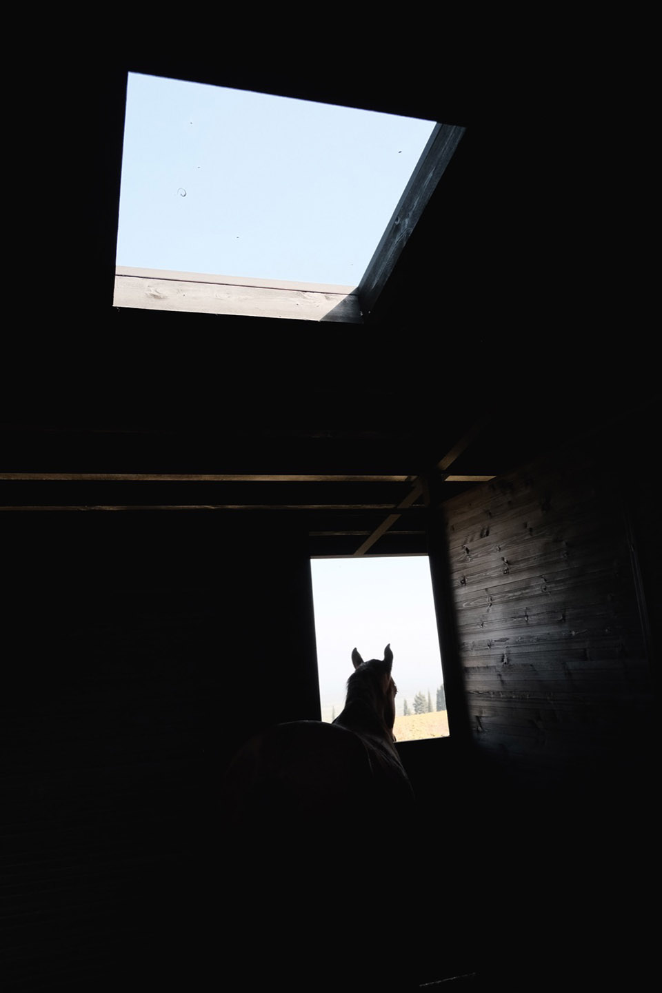 葡萄园马厩,格鲁吉亚丨Kera-61