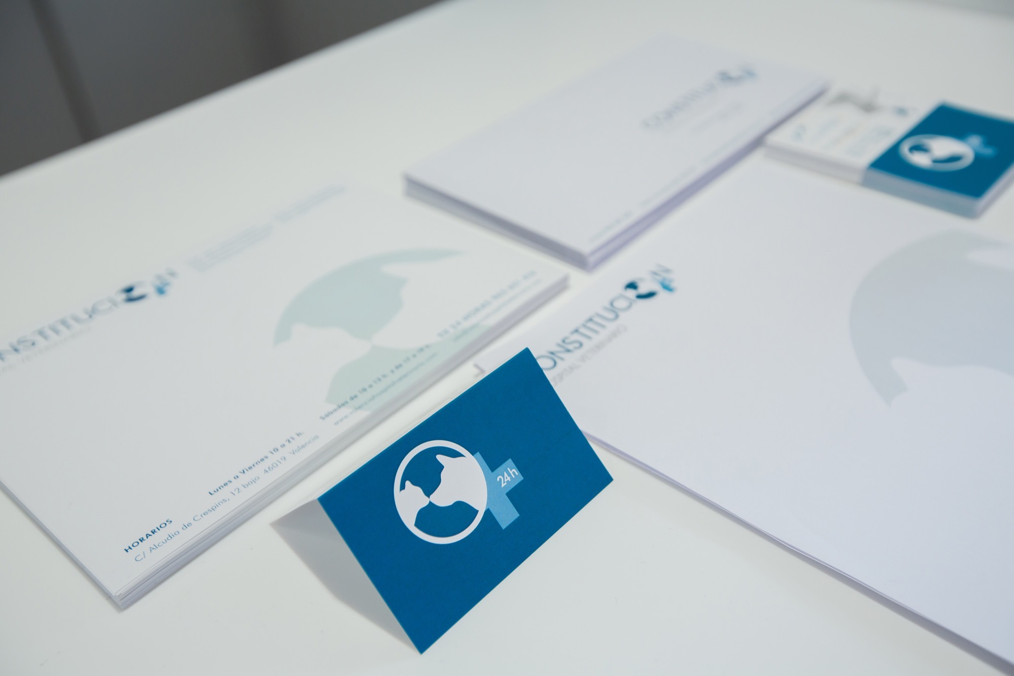 Constitución Veterinary 兽医诊所-40