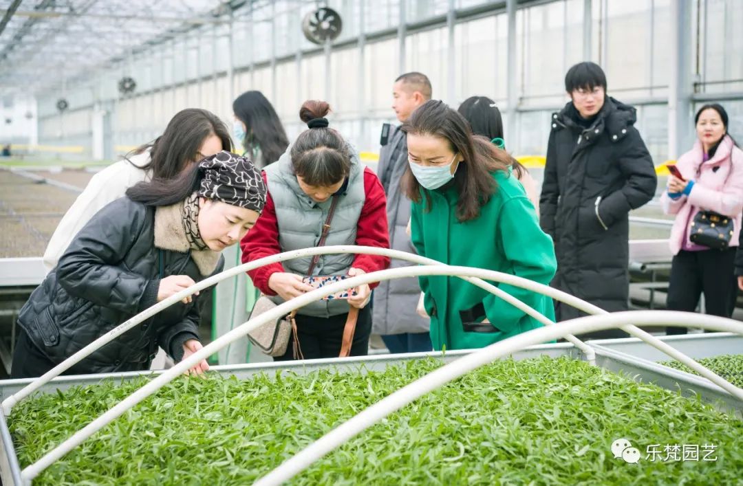 乐梵花园冬日游园会丨乐梵园艺-30
