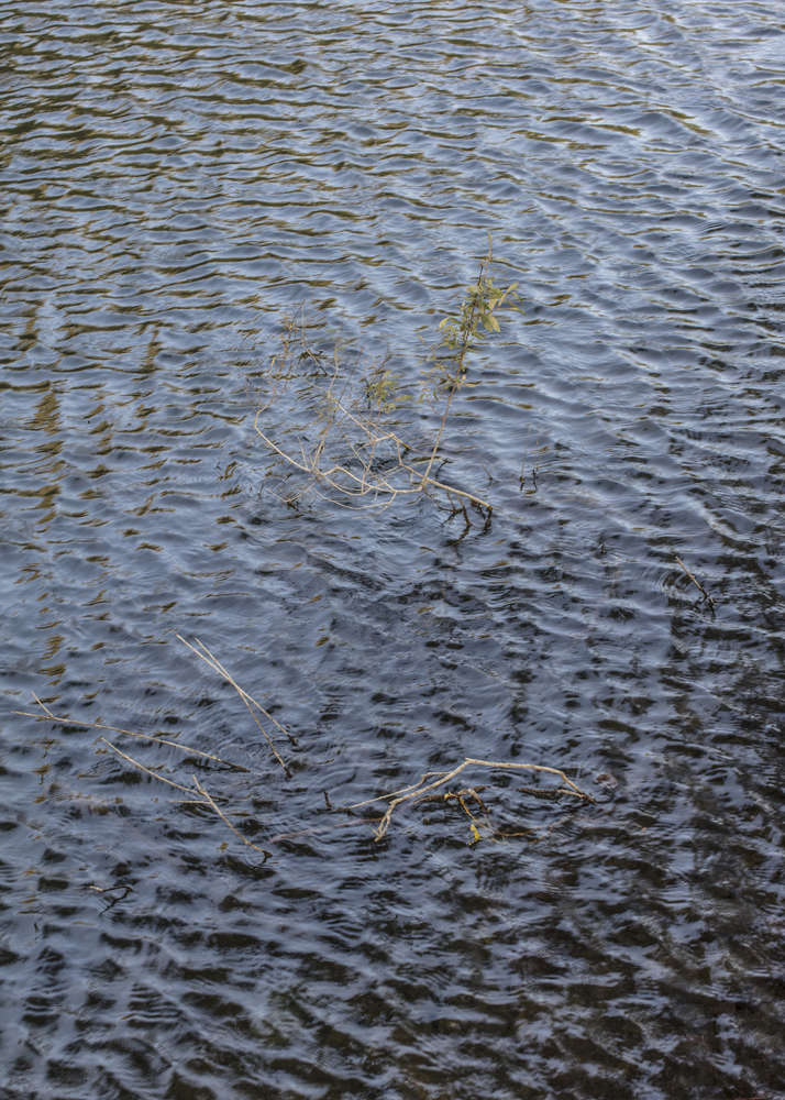 瓦利斯三年展

注：Triennale常见指三年展，Valis不太明确其具体含义，如果它是特定人名、地名、品牌名等，需结合具体背景确定更合适的译法，这里暂按字面音译处理 丨瑞士-28