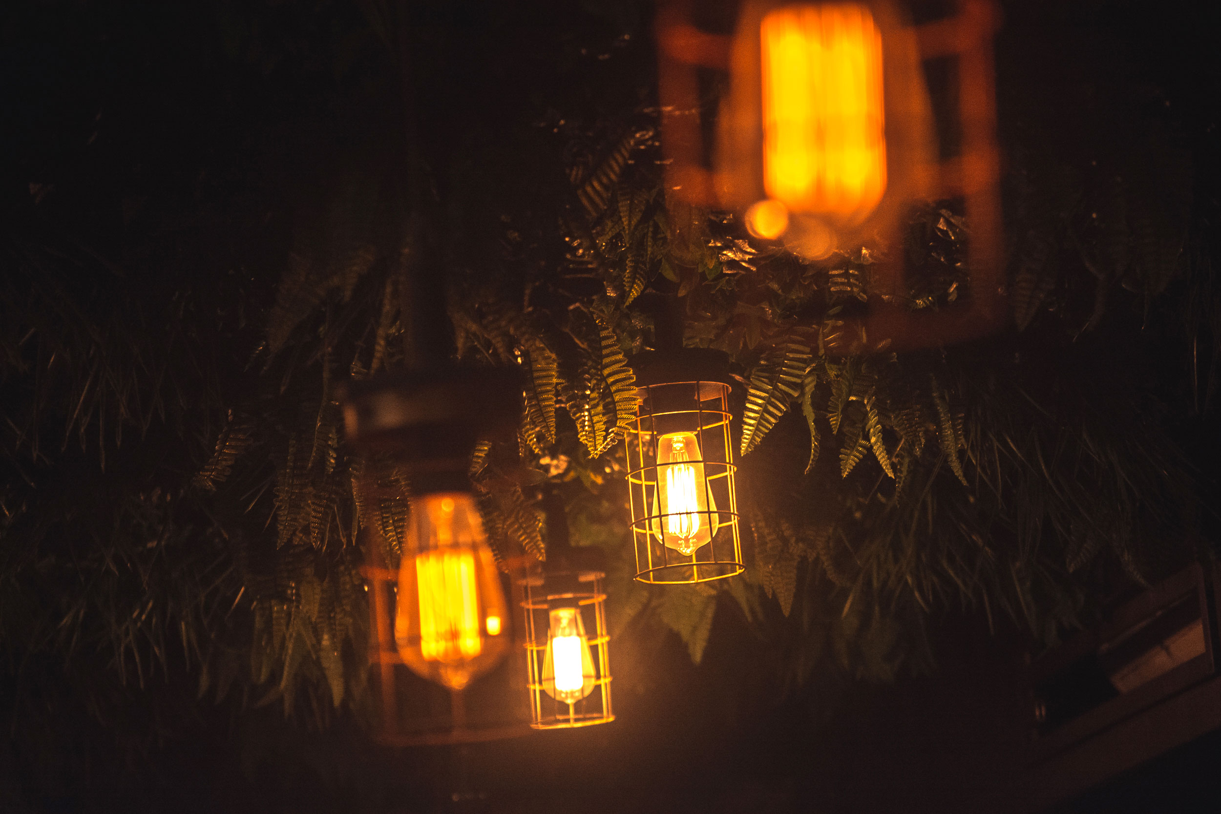 Wild Hops 啤酒品牌室内设计-14