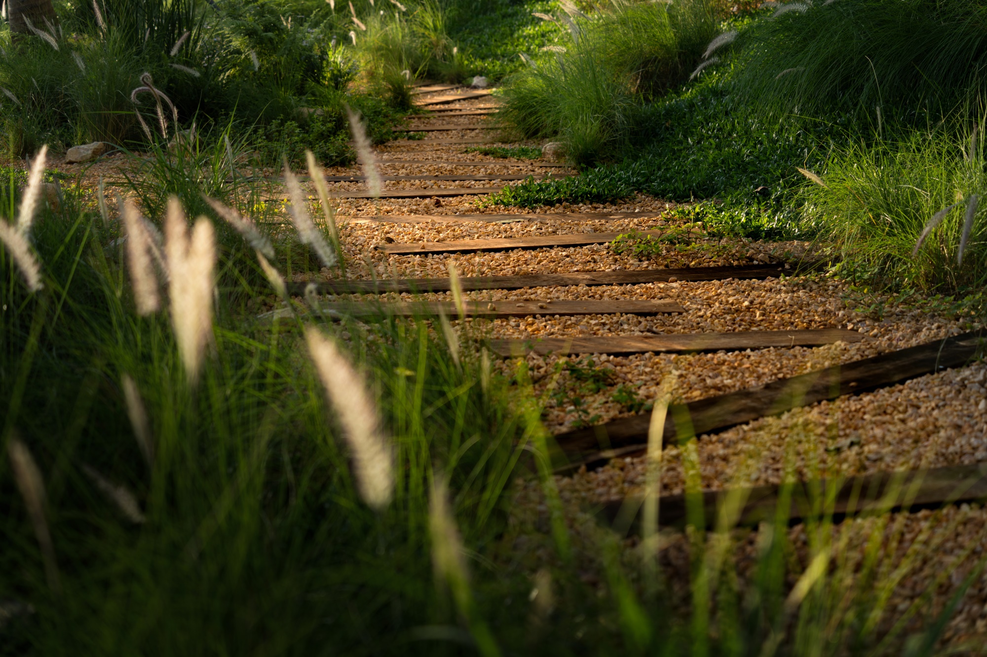 Lu·e Park·海口麓岛公园丨中国海口丨成都德珈筑境景观规划设计有限公司-71