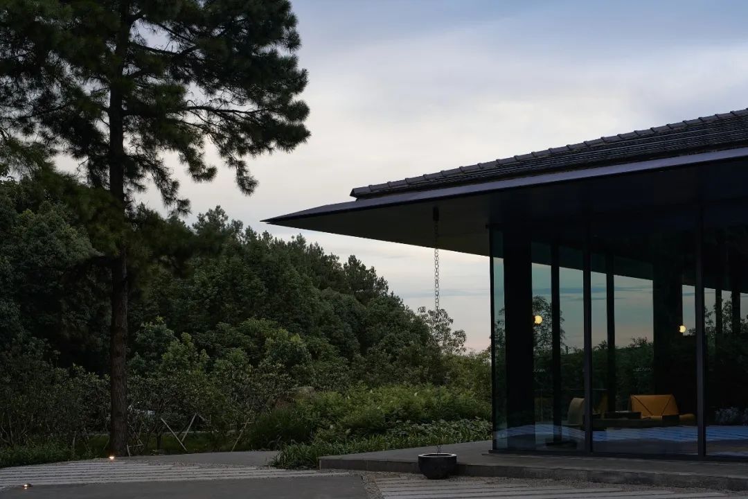 山谷松林里的隐世秘境之旅｜PrivateJourneyinthePineryValley-102