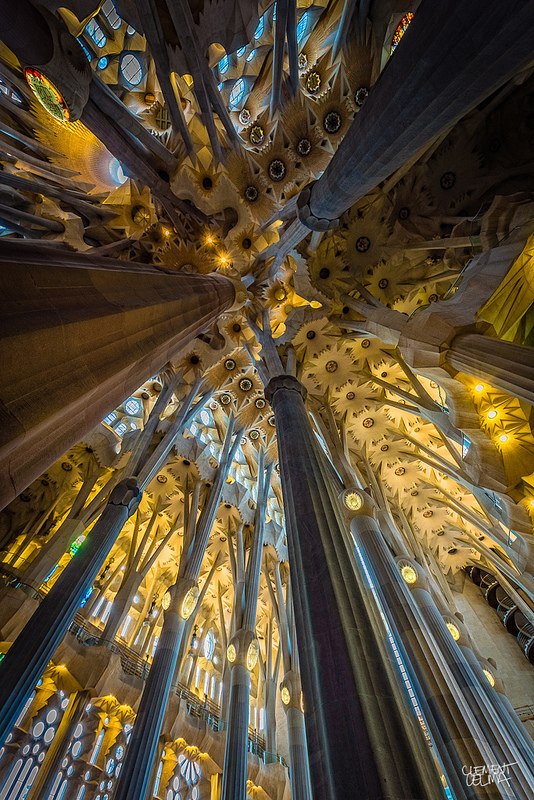 圣家堂(Sagrada Familia)天花板设计丨西班牙巴塞罗那丨安东尼·高迪(Antoni Gaudí)等-9