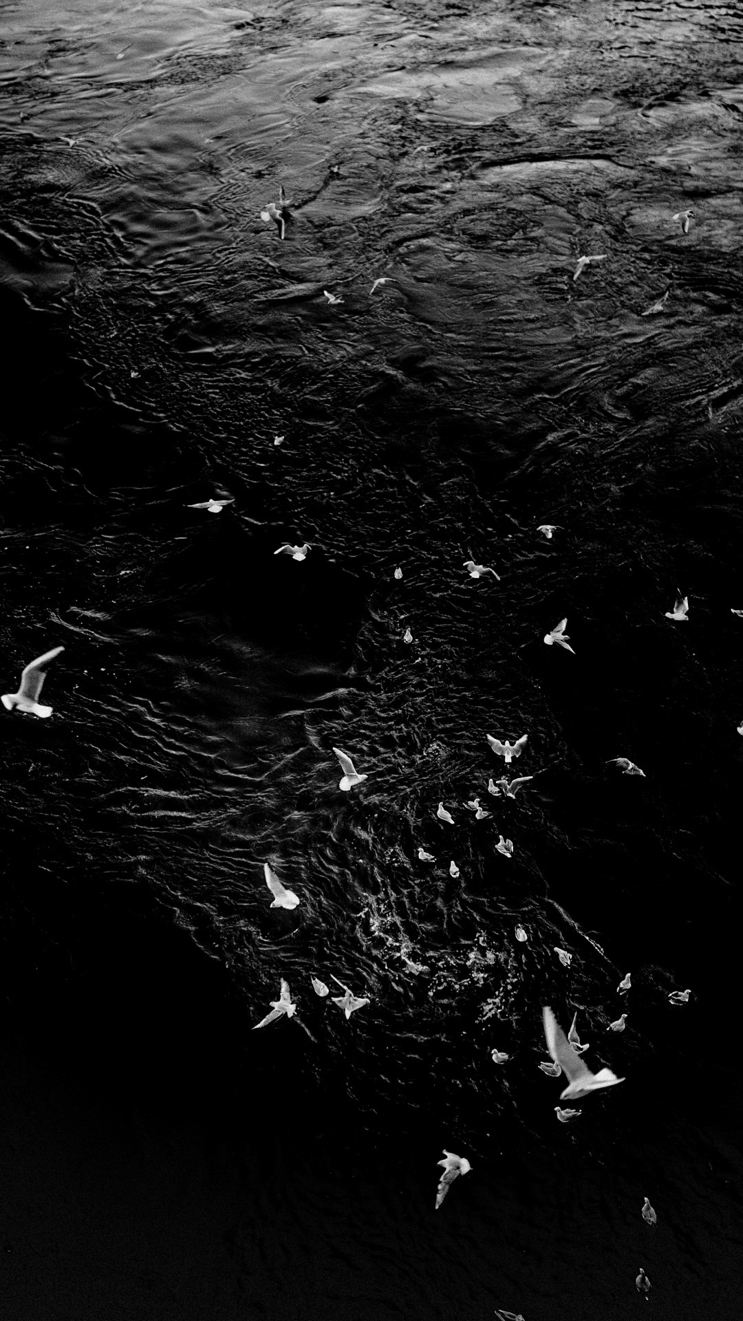 Budapest , street photography, journey , trip,-0