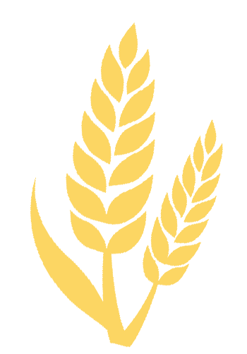 华森项目|广州花都九龙湖度假区生态智慧建筑典范-5