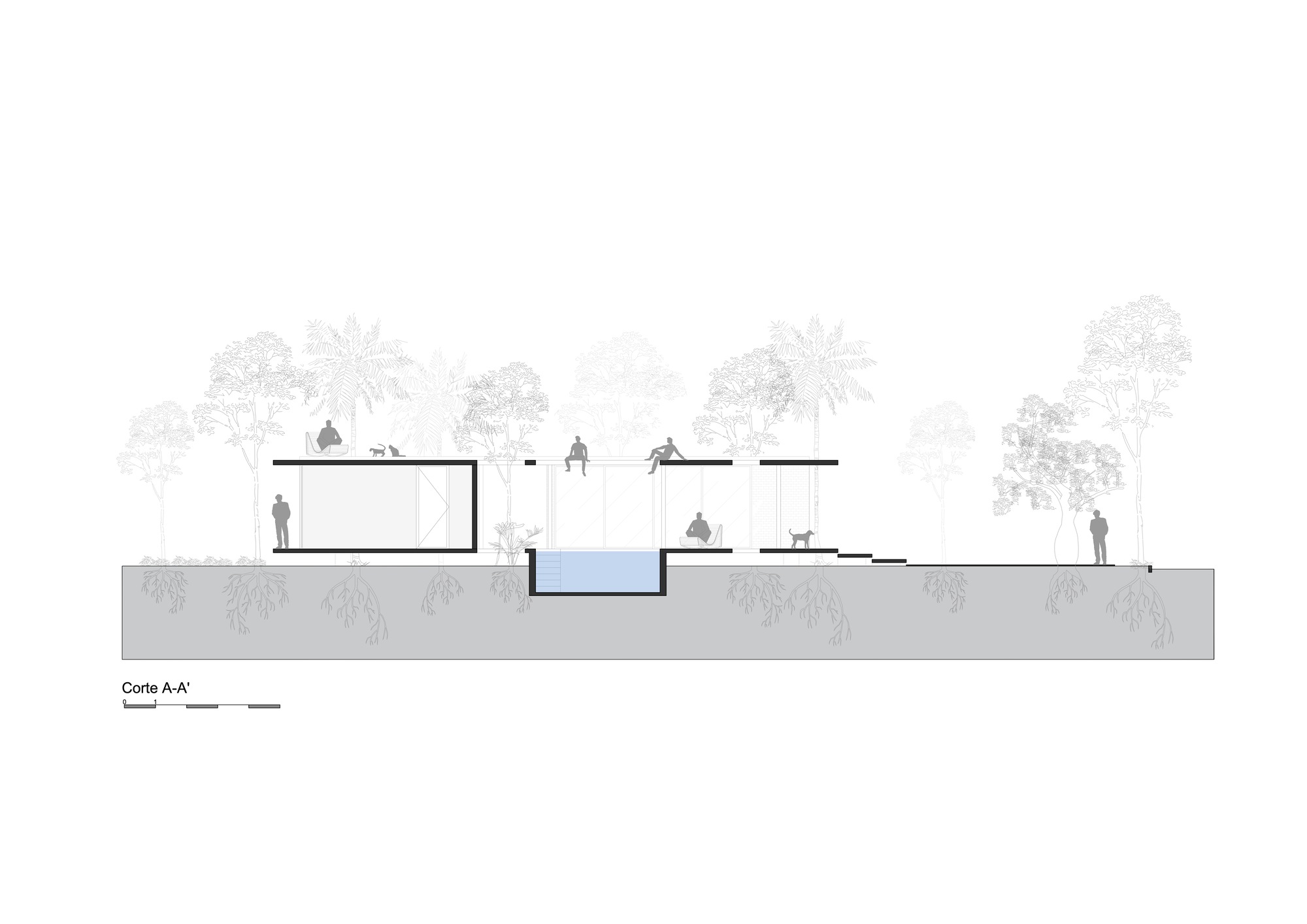 屋内的一片森林丨巴拉圭丨Equipo de Arquitectura-31