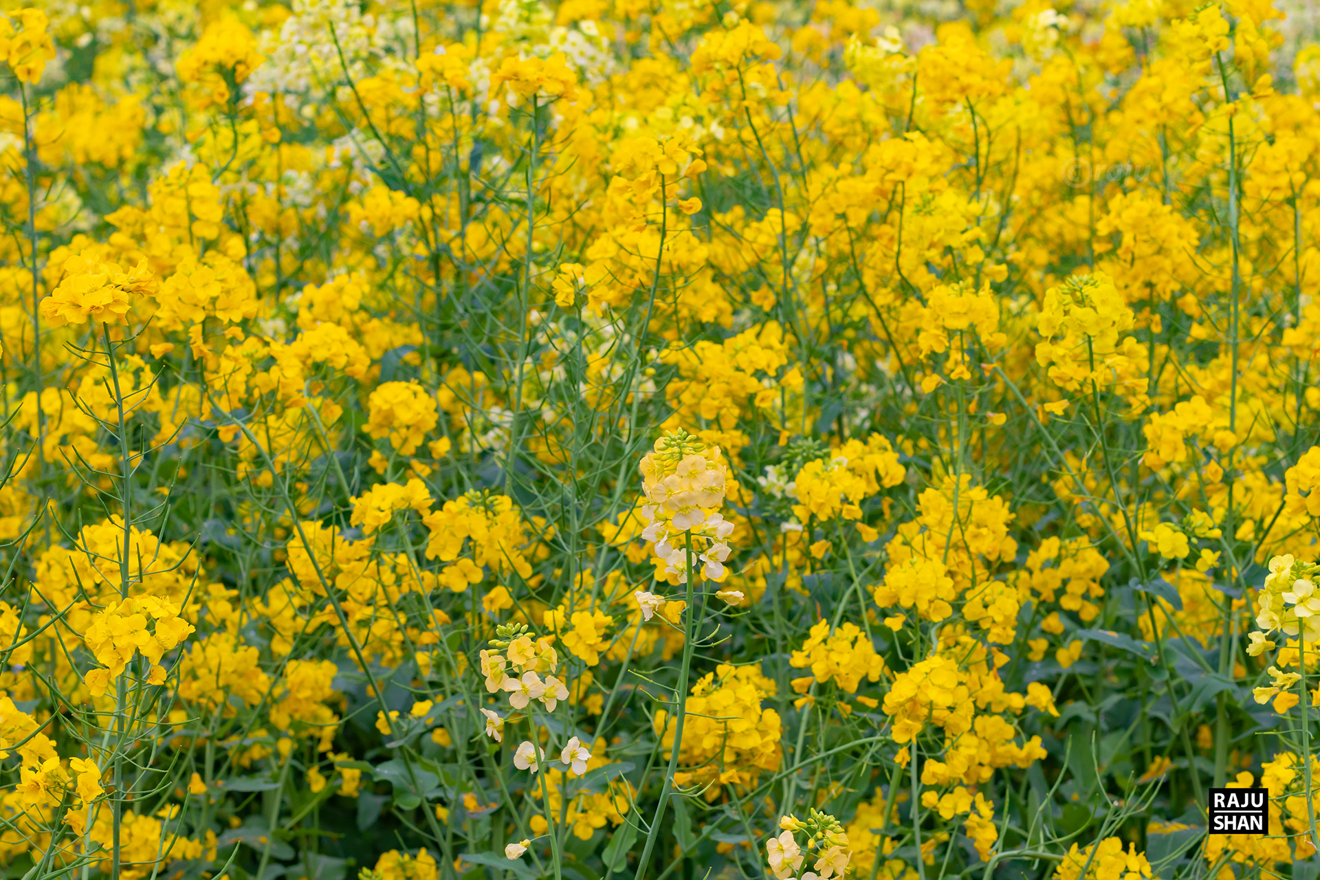 杭州梦城丨中国杭州-16