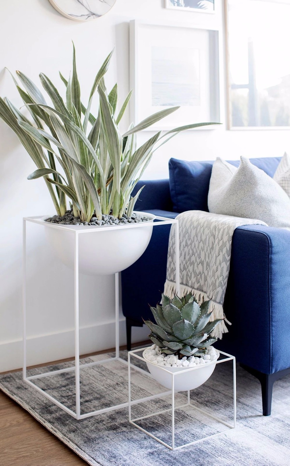 Laura Melling | 自然世界的温暖和质感-13