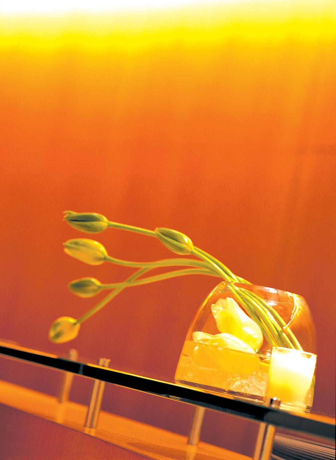 W Atlanta - Perimeter, Atlanta, Georgia (GA), United States-23