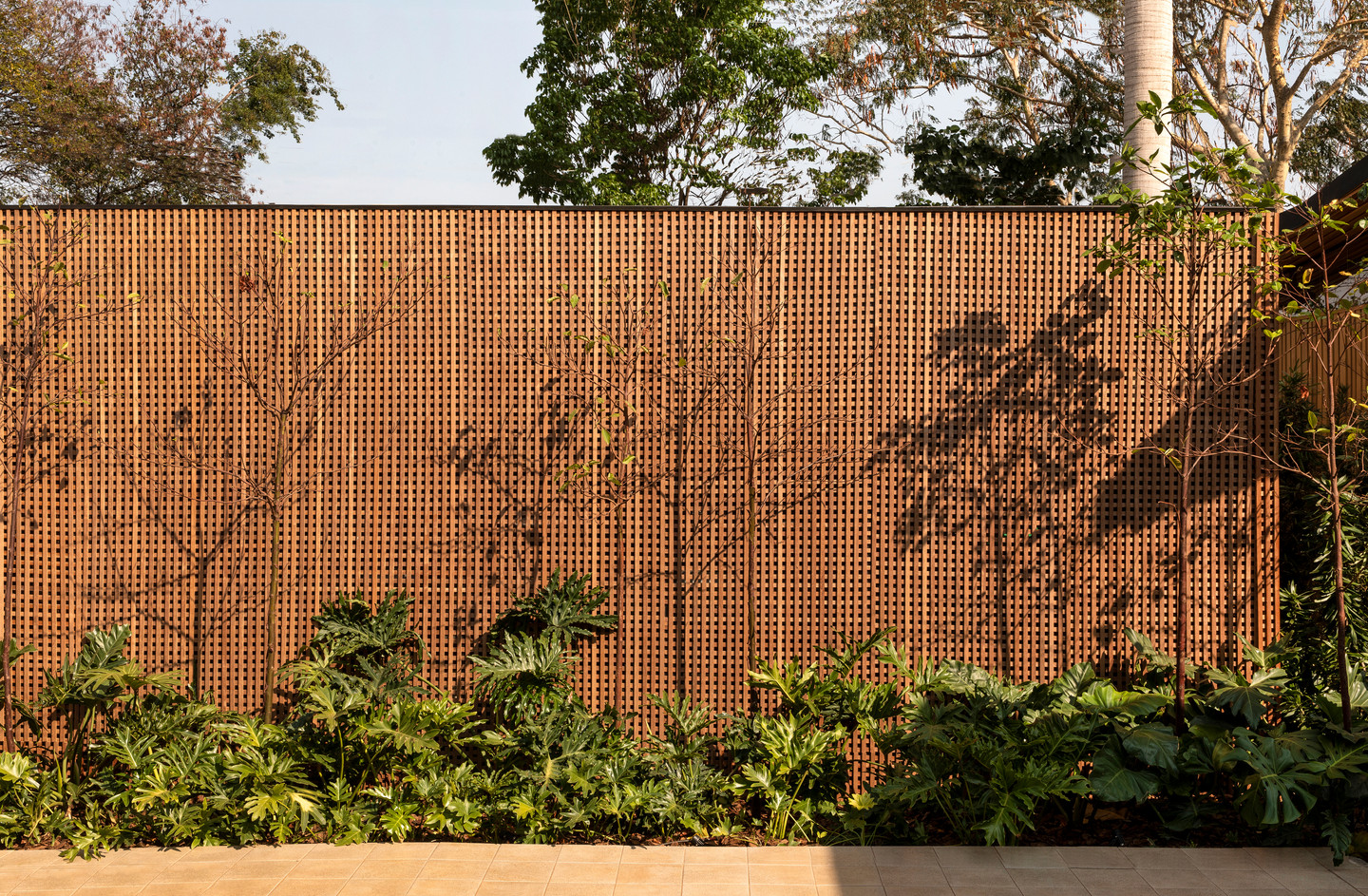 半屋丨巴西丨mf+arquitetos-1