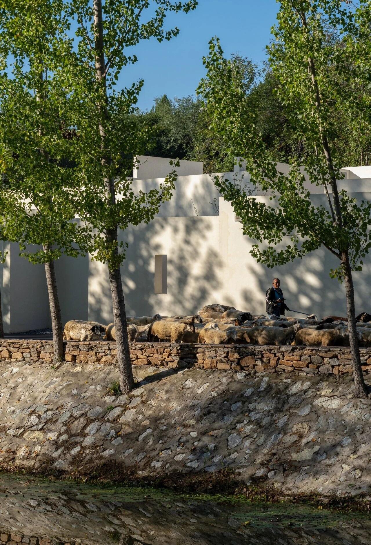 和隐度假酒店丨中国河北丨Domain Architects十域建筑-15